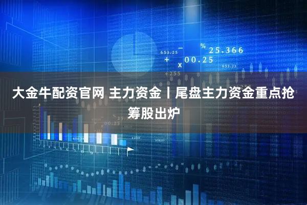 大金牛配资官网 主力资金丨尾盘主力资金重点抢筹股出炉