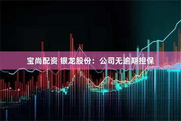 宝尚配资 银龙股份：公司无逾期担保