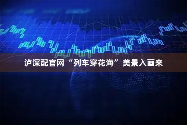 泸深配官网 “列车穿花海” 美景入画来